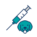 Вакцинация щенков