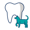 Удаление зубов у собаки